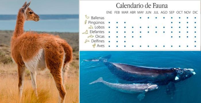 Al Mar *